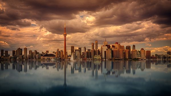 Obrazek przedstawia panoramę miasta Toronto