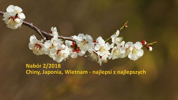 Zdjęcie dekoracyjne z napisem "Nabór 2/2018. Chiny, Japonia, Wietnam - najlepsi z najlepszych"