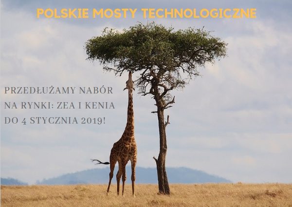 Grafika dekoracyjna z napisem: "Polskie Mosty Technologiczne. Przedłużamy nabór na rynki: ZEA i Kenia do 4 stycznia 2019!"