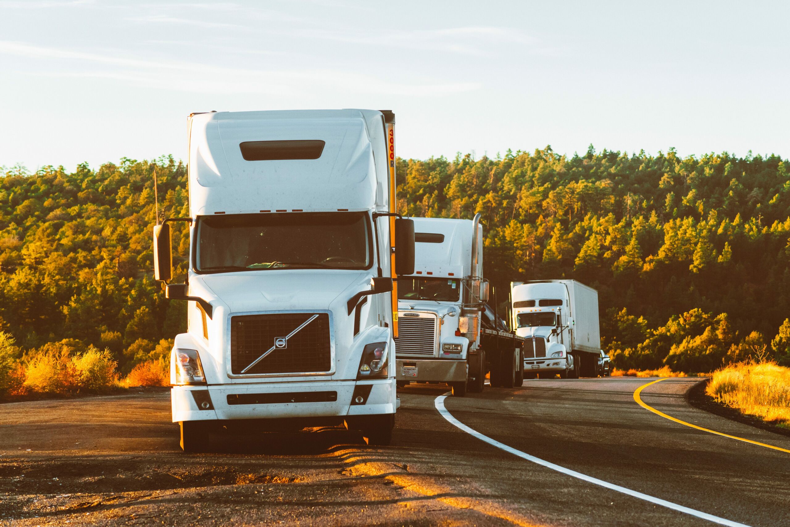 Zdjęcie przedstawiające samochody ciężarowe; logistyka transportu