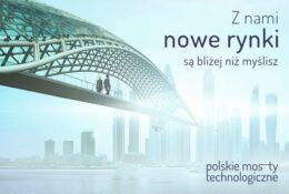 Obrazek promujący Polskie Mosty Technologiczne. Przedstawia nowoczesny most prowadzący do miasta. Zawiera napis 