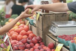 Zdjęcie przedstawia stoisko owocowe. Widoczne sa jedynie ręce klienta i sprzedawcy, które przekazują sobie jabłko.