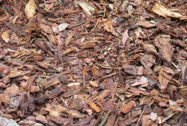 Pine bark fr. 1-8 cm