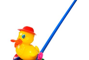 a duck with a handle to push the toy