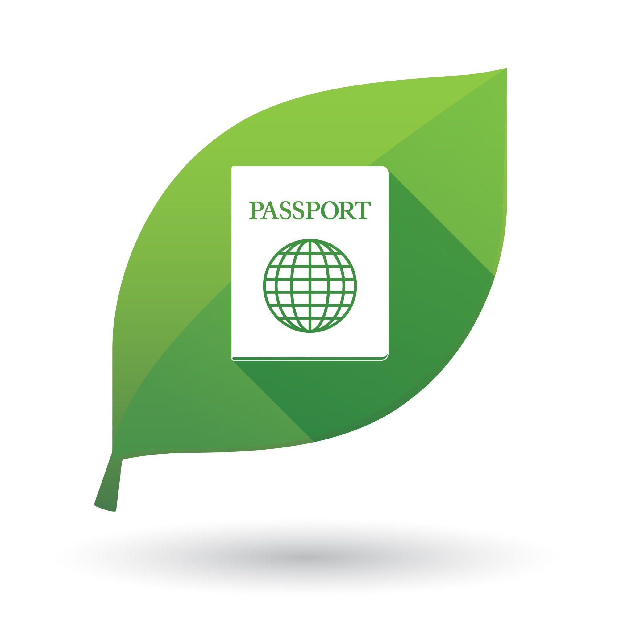 Zielony liść z napisem Paszport