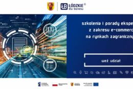 Usługa szkoleniowa w obszarze e-commerce – eksport na rynki zagraniczne z wykorzystaniem międzynarodowych platform handlowych w ramach projektu„Łódzkie dla biznesu – rozwój na plus”