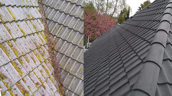 cleaning of roofs