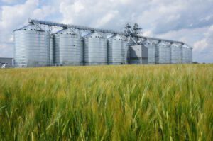 Grain storage consisting of flat bottom silos for grain storage made of flat sheets of steel.