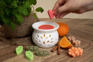 Wax melts in burner