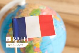 Flaga Francji na tle globusu