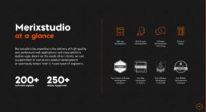 Merixstudio - software development services overview