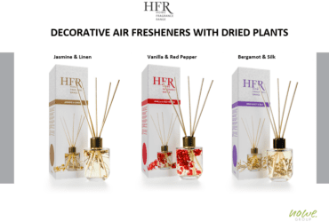 Decorative air fresheners