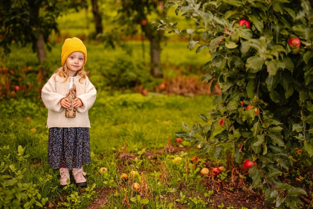 NFC apple juice - 0.33 liter bottle - in its natural surroundings - our orchard