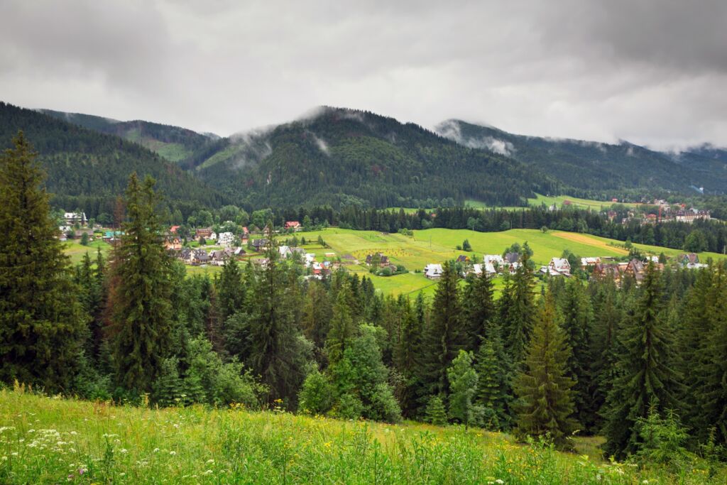 widok z lotu ptaka na góry