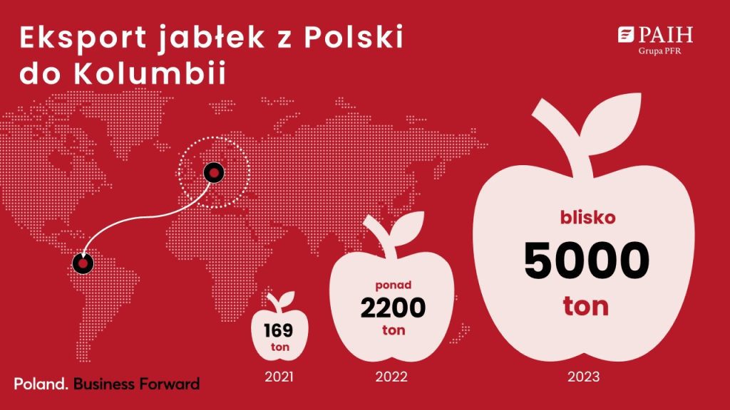 Eksport polskich jablek do Kolumbii graf