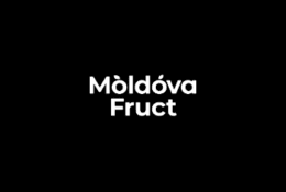 Logo Moldova Fruct