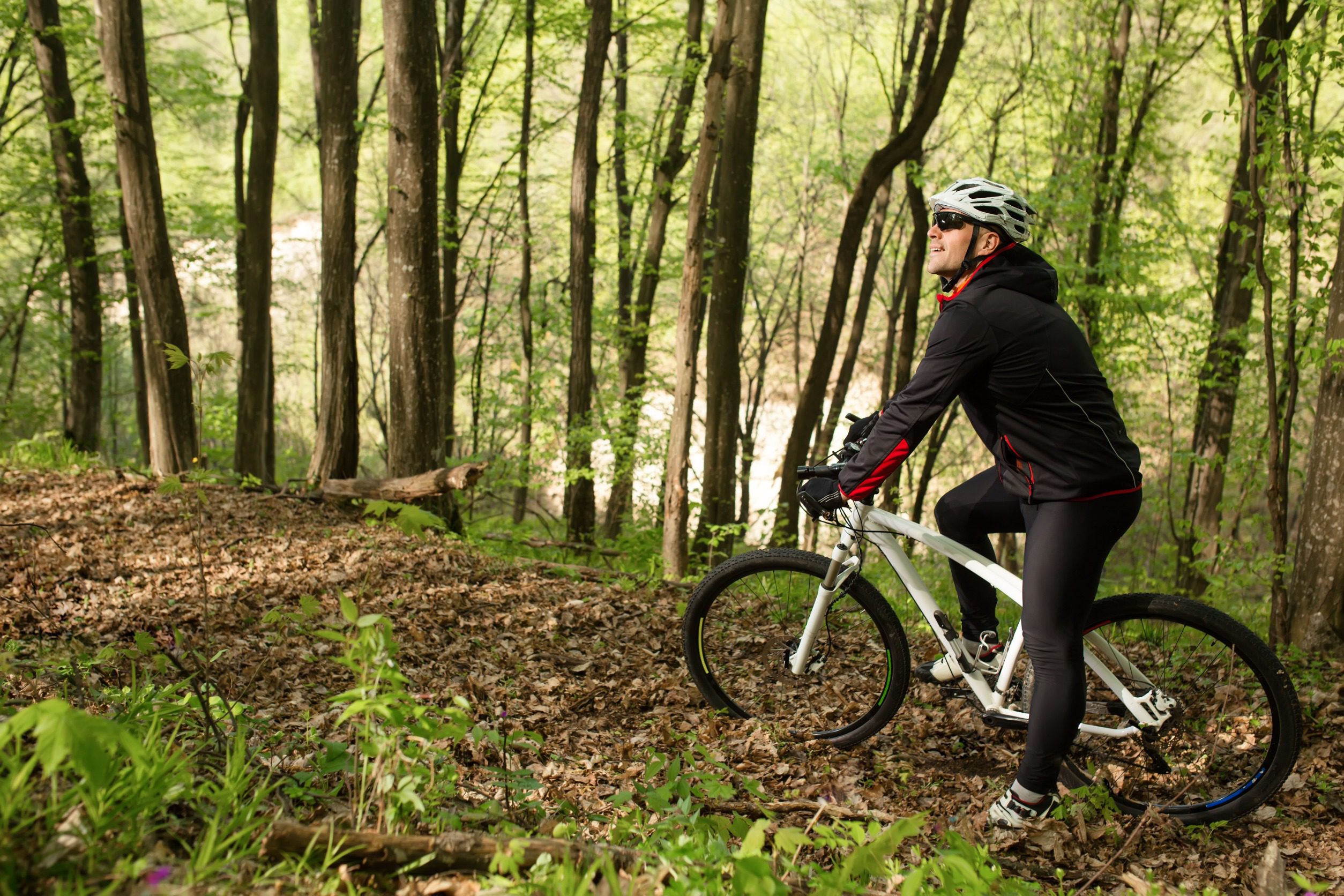 Cyclist Riding the Bike on a Trail in Summer Forest