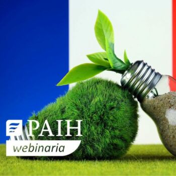 Żarówki z trawą na tle flagi Francji