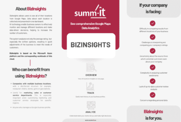 BizInsights