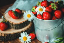 Red ripe Polish strawberries in a bucket, few chamomile flowers as decoration