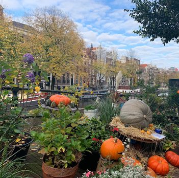 widok na budynki przy amsterdamskim kanale