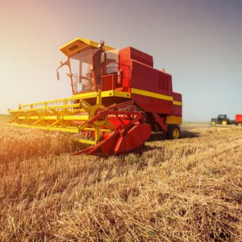 Kombajn zbożowy na polu pszenicy