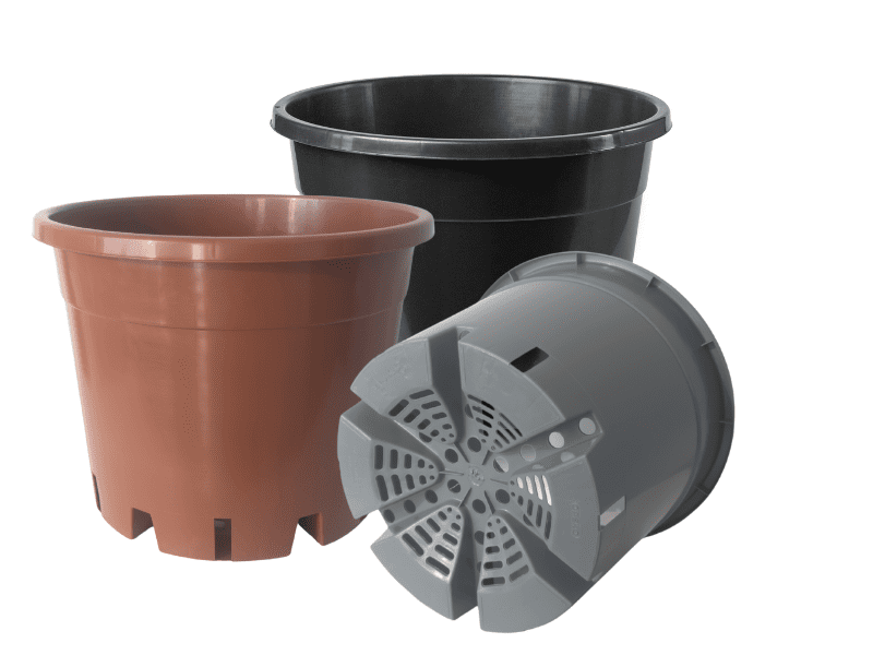 Containers for growing blueberries