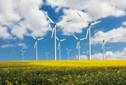 Wind turbines on the meadow