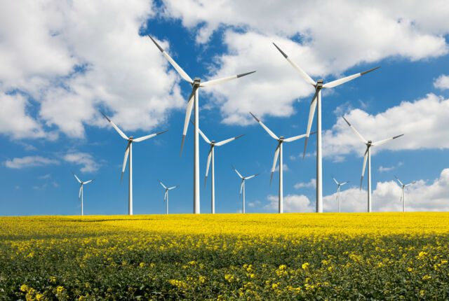 Wind turbines on the meadow