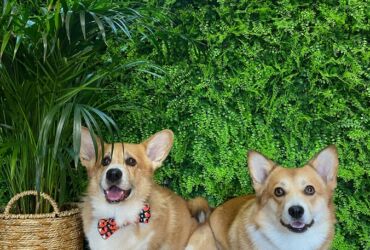 Best Friends neon