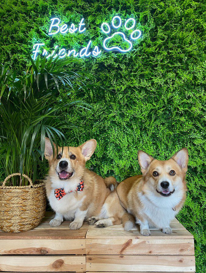 Best Friends neon