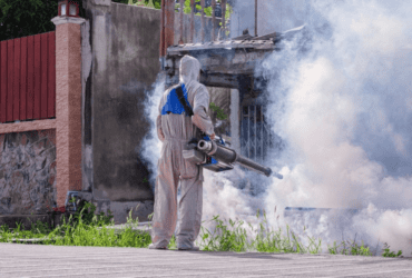 ULV Fogging