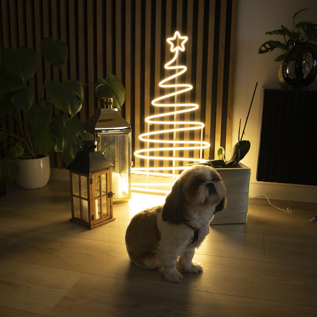 Christmas Neon