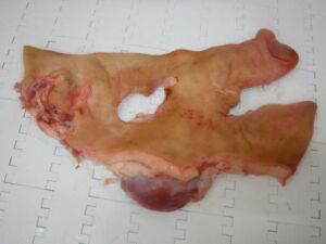 Pork Masks Skin On