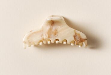The Hair Claw no1