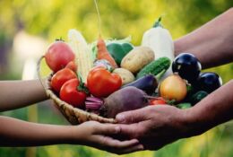 fruit and vegetable basket