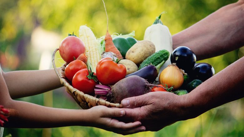 fruit and vegetable basket