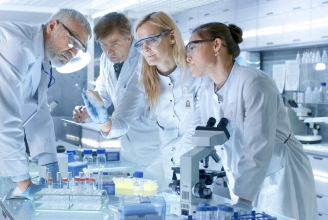 zdjęcie przedstawia pracowników laboratorium przy pracy