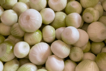 Onion packed in palox containers