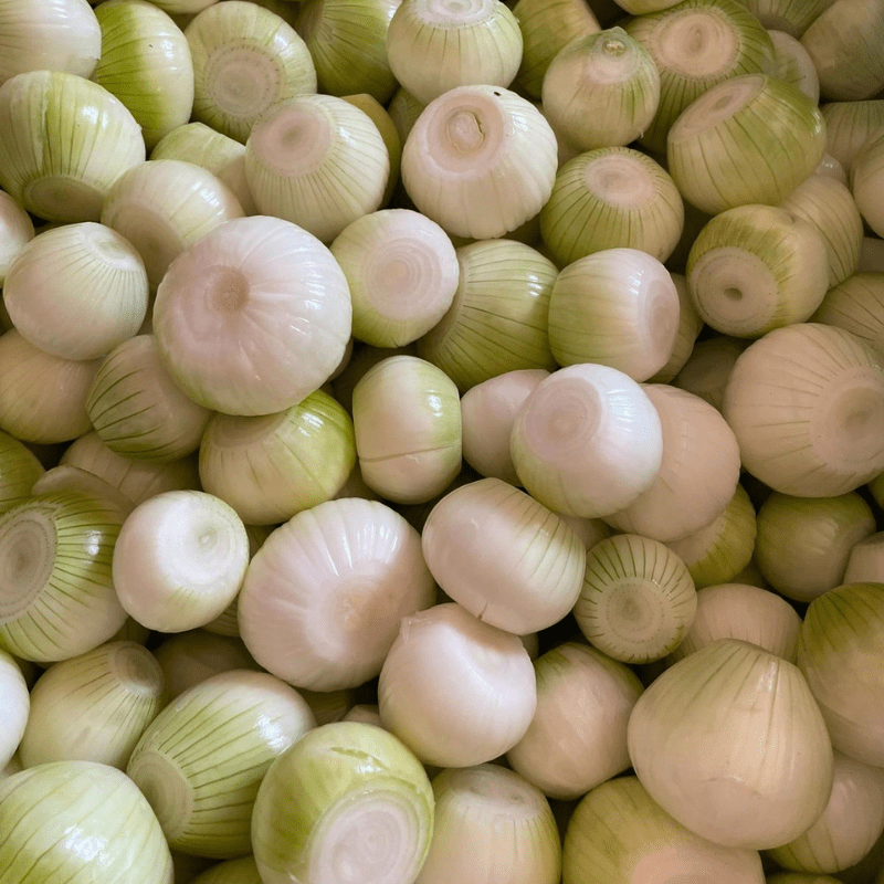 Onion packed in palox containers