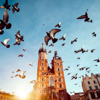 Konferencja biznesowa: Business. Export. Made in Poland.