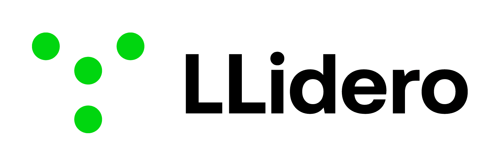 LLidero company logo