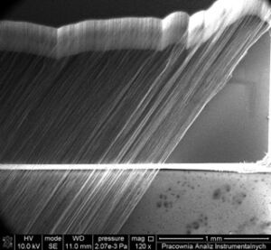 Carbon nanomaterials.
