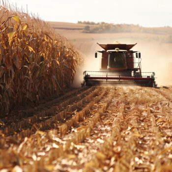 Stoisko PAIH na targach CroAGRO 2025