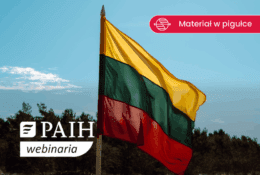 flaga Litwy na tle natury