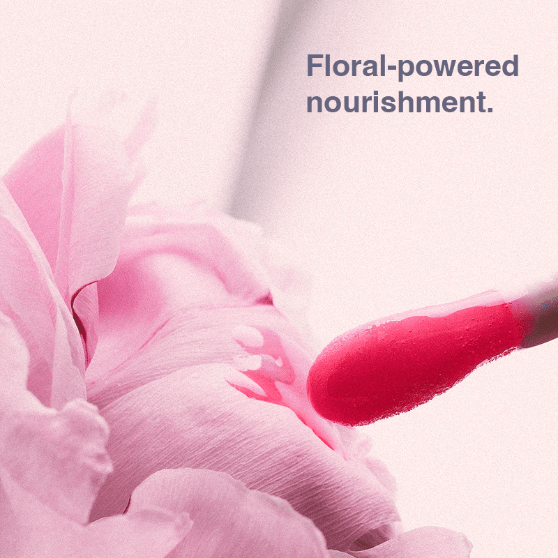 ZANA Ultimate Nourishing Lip Oil Gloss