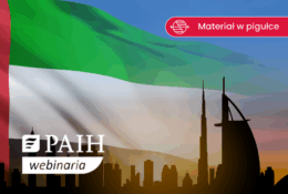 flaga ZEA na tle miasta