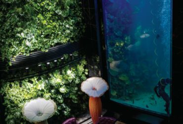 Pixel Garden interior wall with artificial lighting.