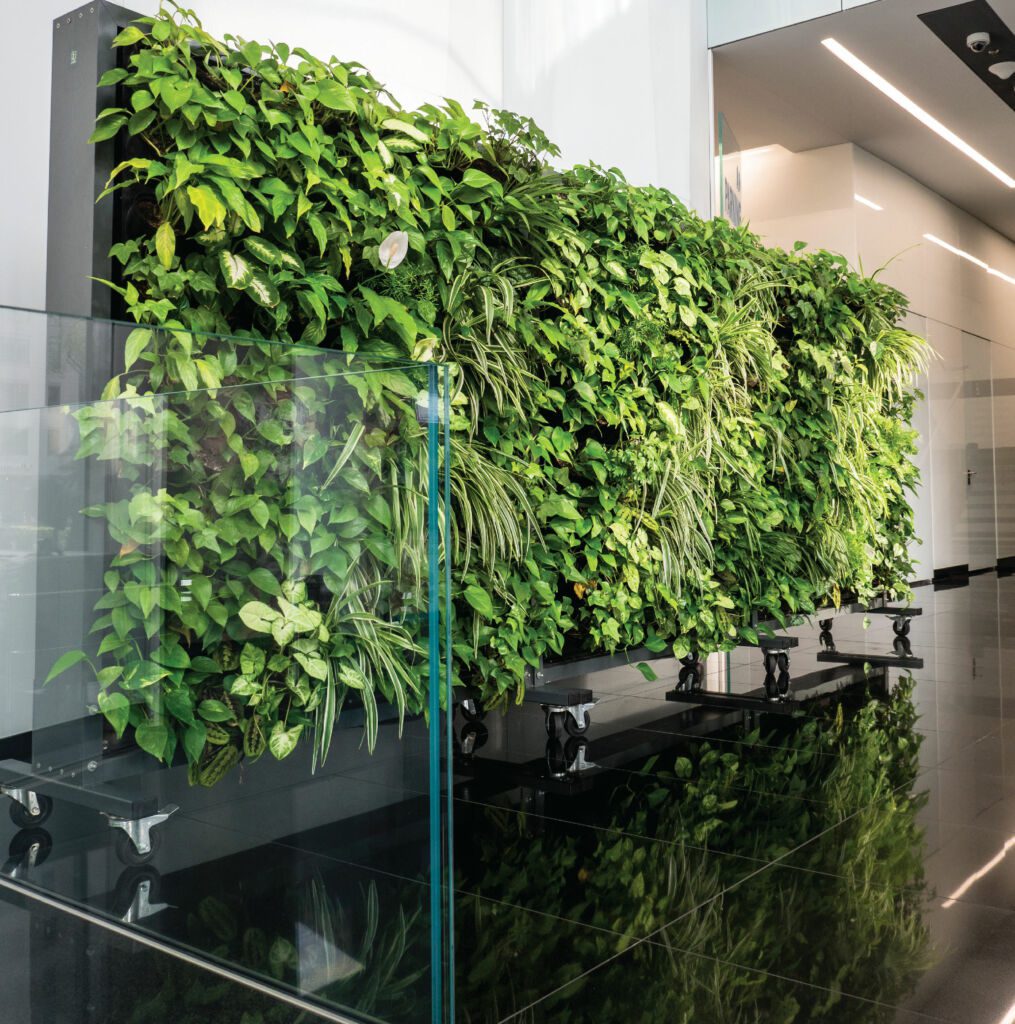 Mobile green walls in commercial spaces.