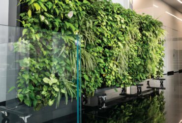 Mobile green walls in commercial spaces.